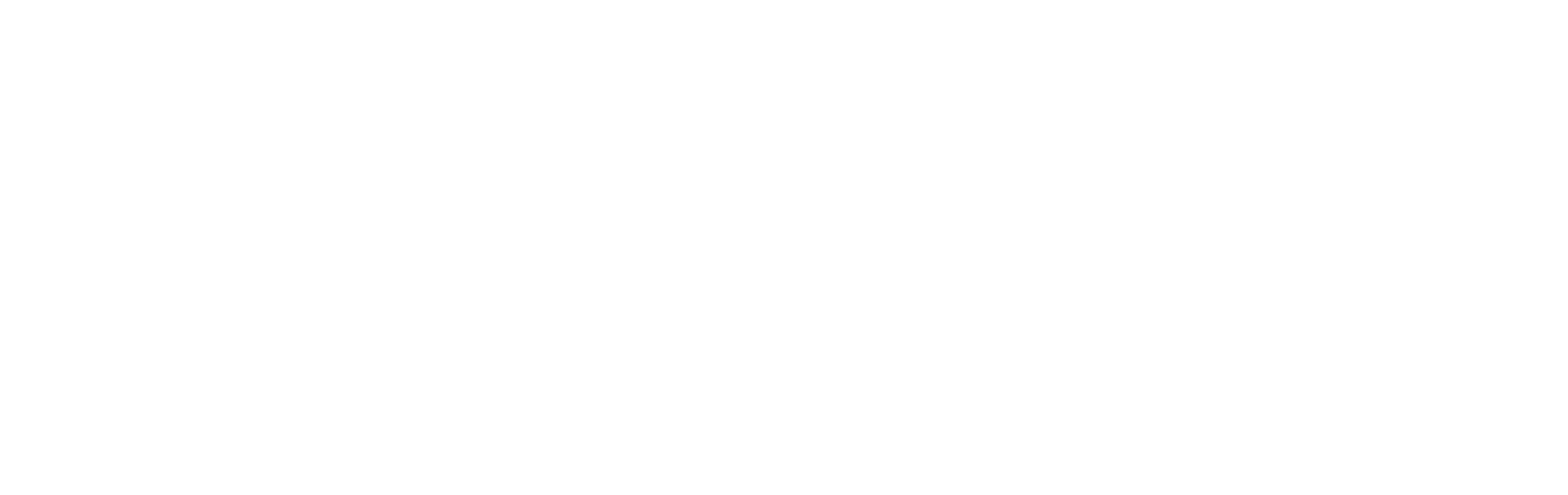 Wentinck WTK Conductores eléctricos
