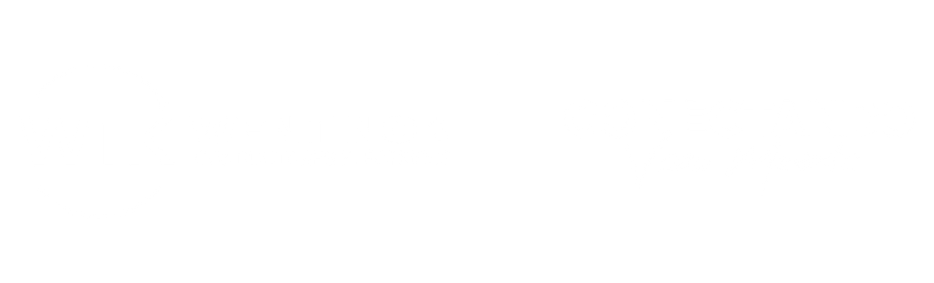 Wentinck WTK Conductores eléctricos