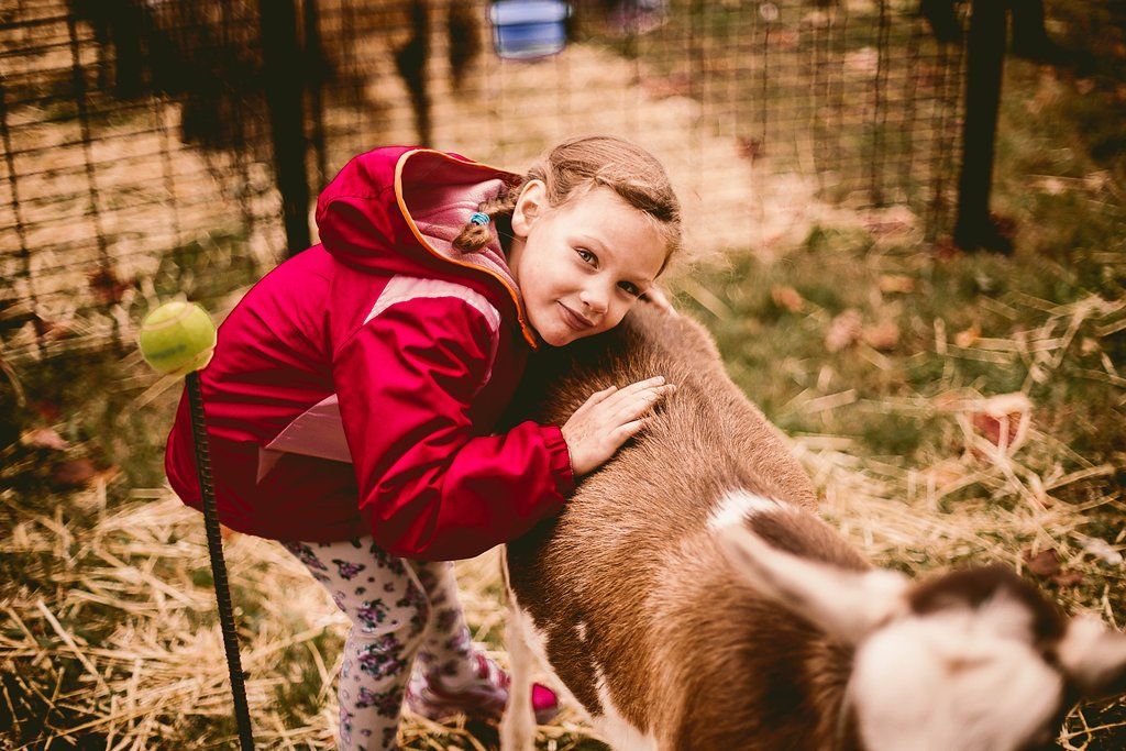 Kid Girl Photo Hugging Goat — Hudsonville, MI — Hudsonville Family Dentistry