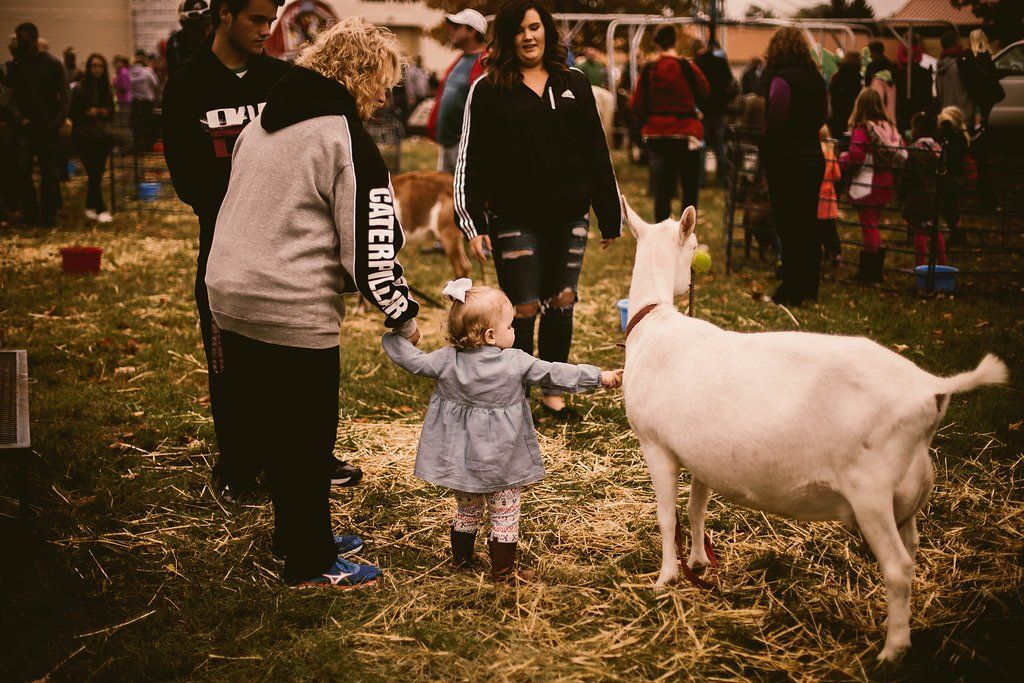 Baby Touching Goat — Hudsonville, MI — Hudsonville Family Dentistry