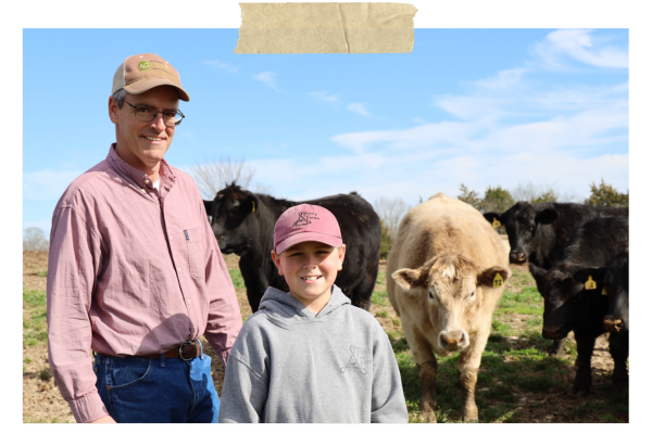Two people standing in a field with cows under a blue sky