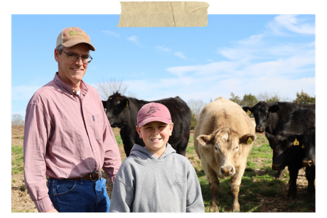 Two people standing in a field with cows under a blue sky