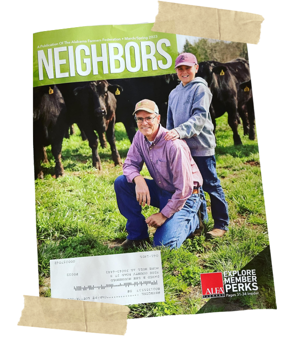 Farmers kneeling in a grassy pasture with black cows under a green “NEIGHBORS” poster.