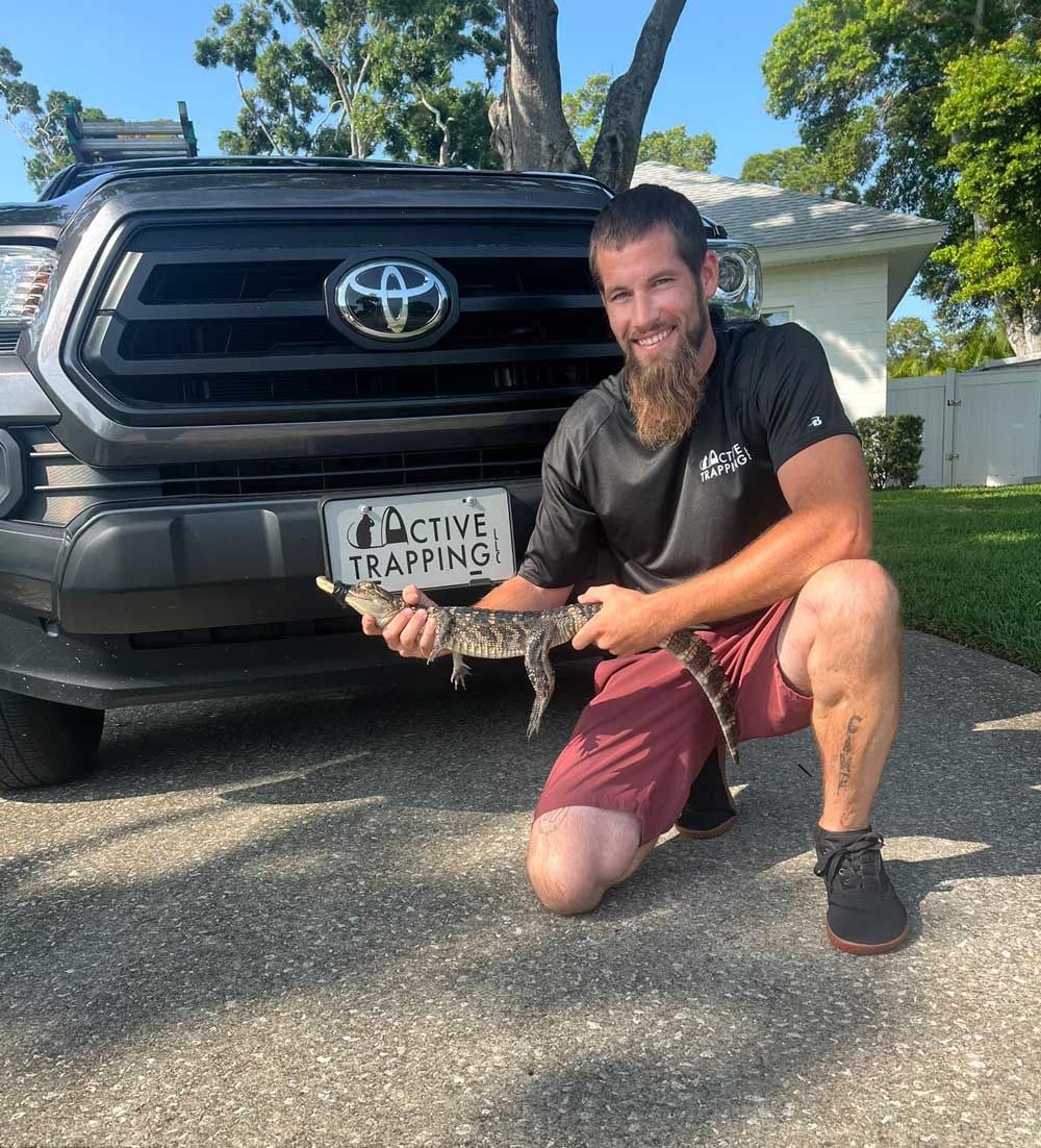 Man kneeling, holding small alligator next to a truck. Outdoors, sunny.
