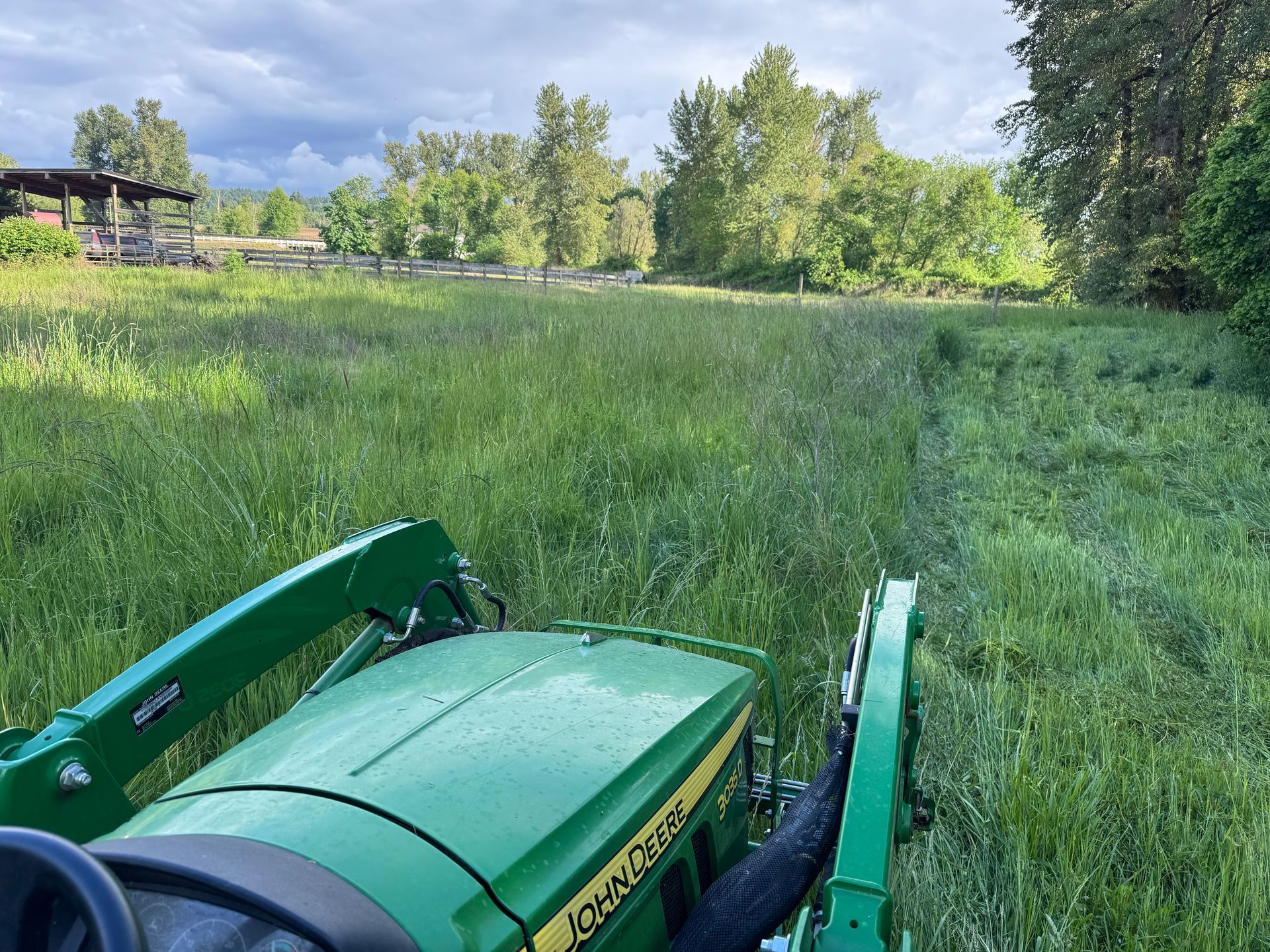 A green John Deere tractor mowing tall grass in a field, trees in the background under a cloudy sky.