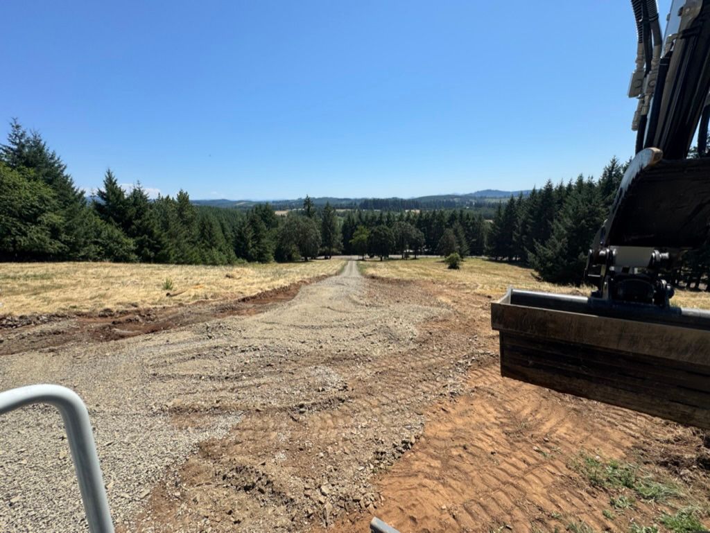 Gravel road through a field, flanked by trees, with a clear blue sky.