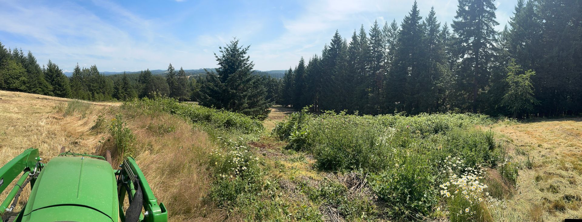 A green tractor drives through a field with a forested background. Sunny day.