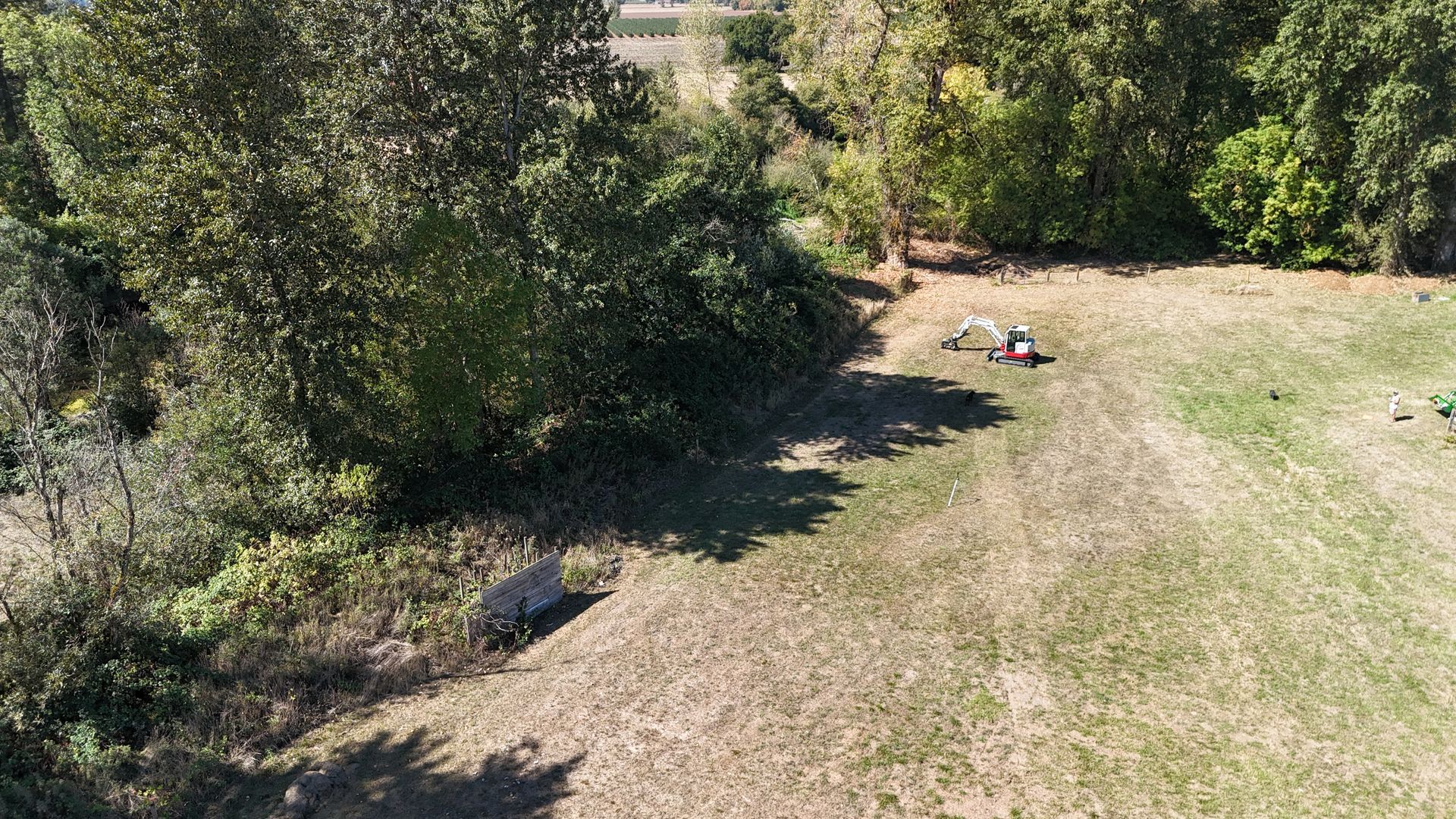 Overhead view of a grassy field with trees and a person, sunny day.