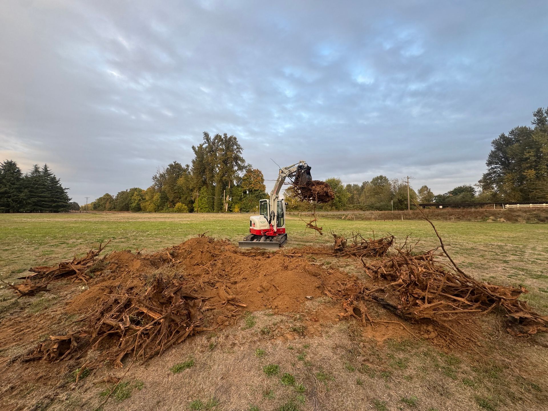 Mini excavator removing tree roots from a grassy field under a cloudy sky.