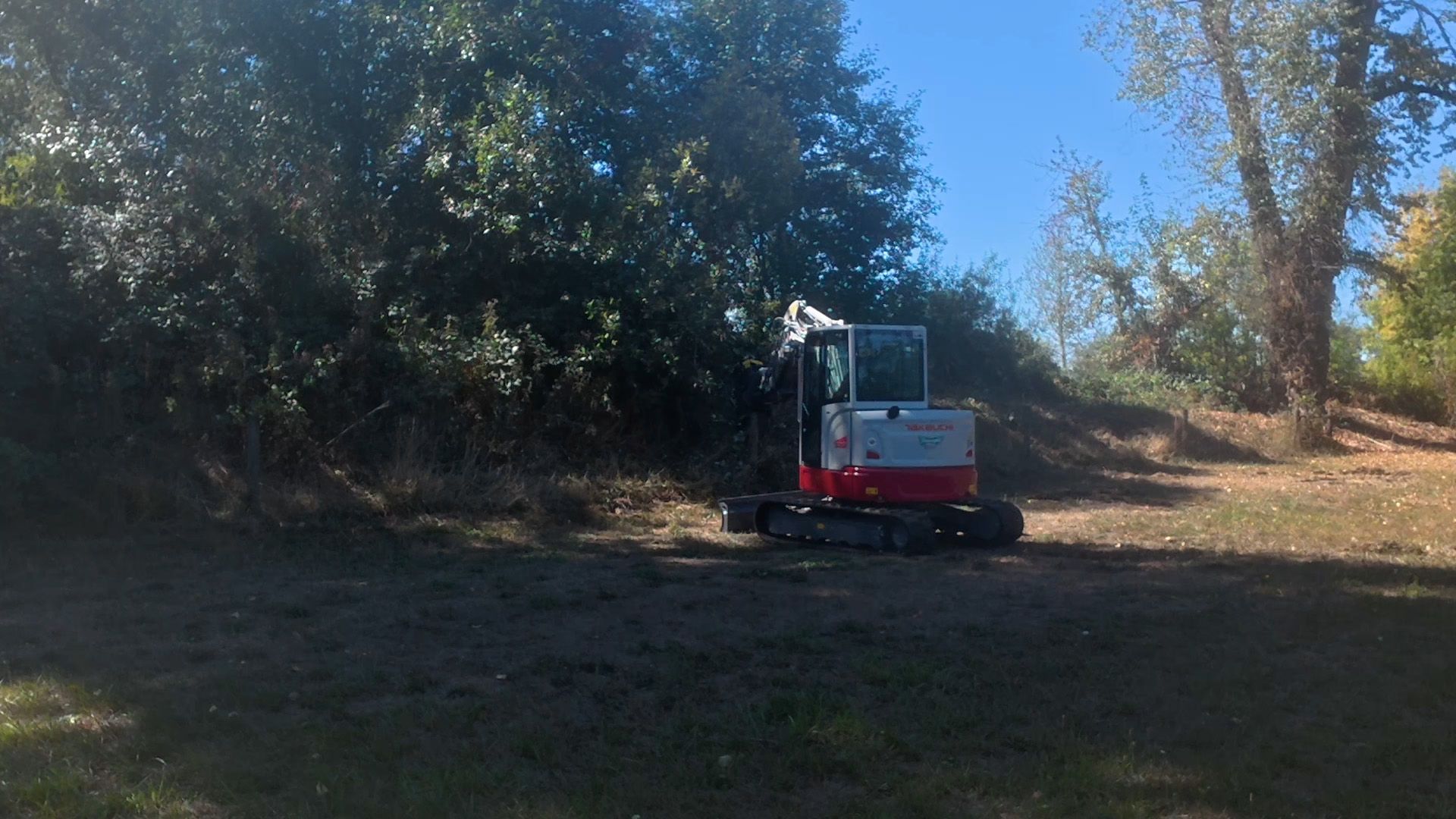 Small excavator parked near bushes and trees on a sunny day.