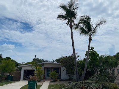 A house with two palm trees in front of it on a windy day.