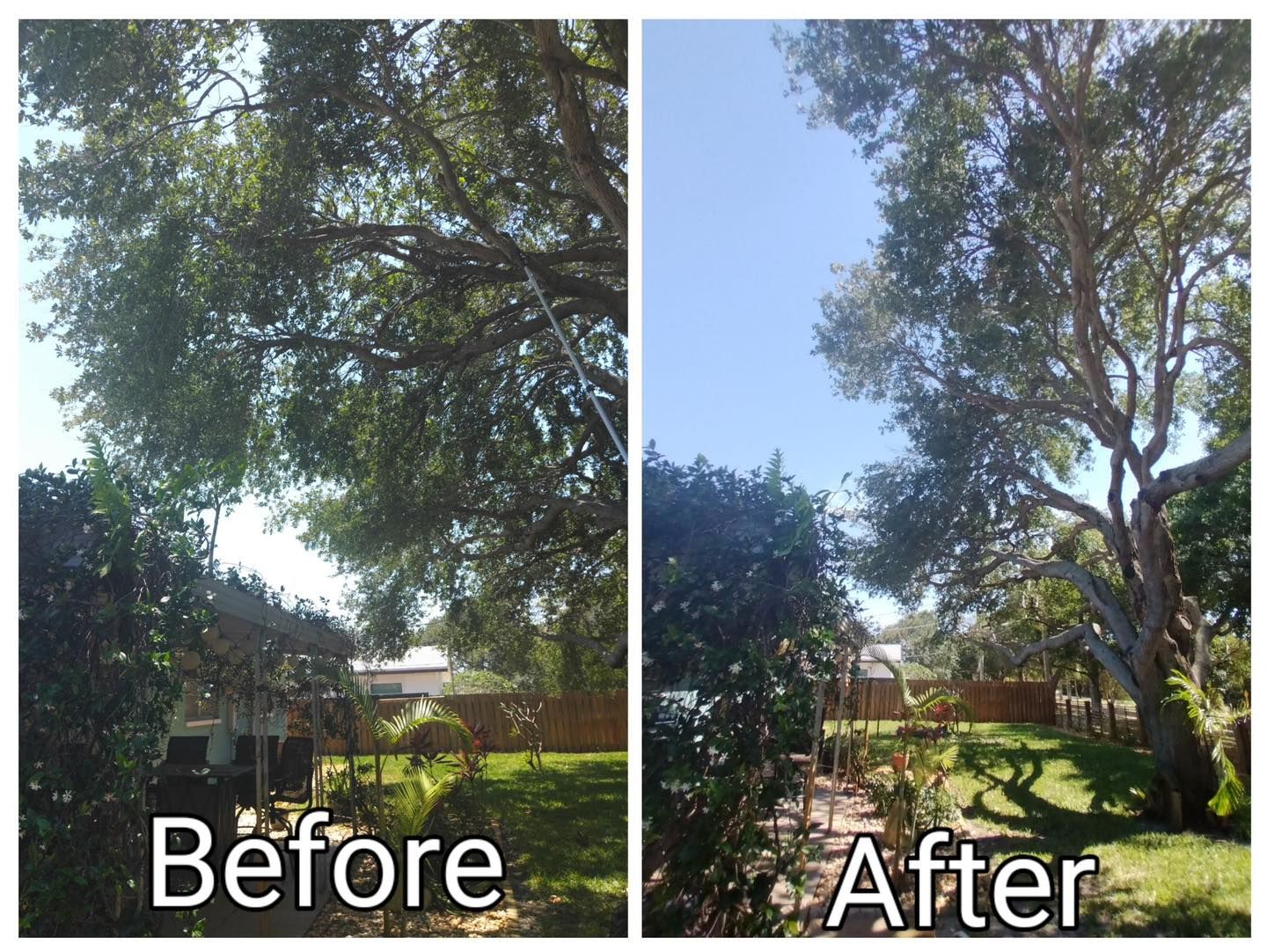A before and after picture of a tree being cut down.