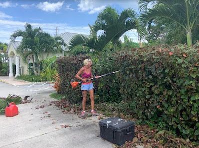 A woman is cutting a hedge with a lawn mower.