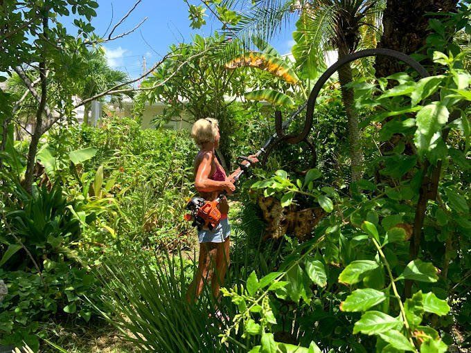 A woman is cutting a tree with a lawn mower in a lush green forest.