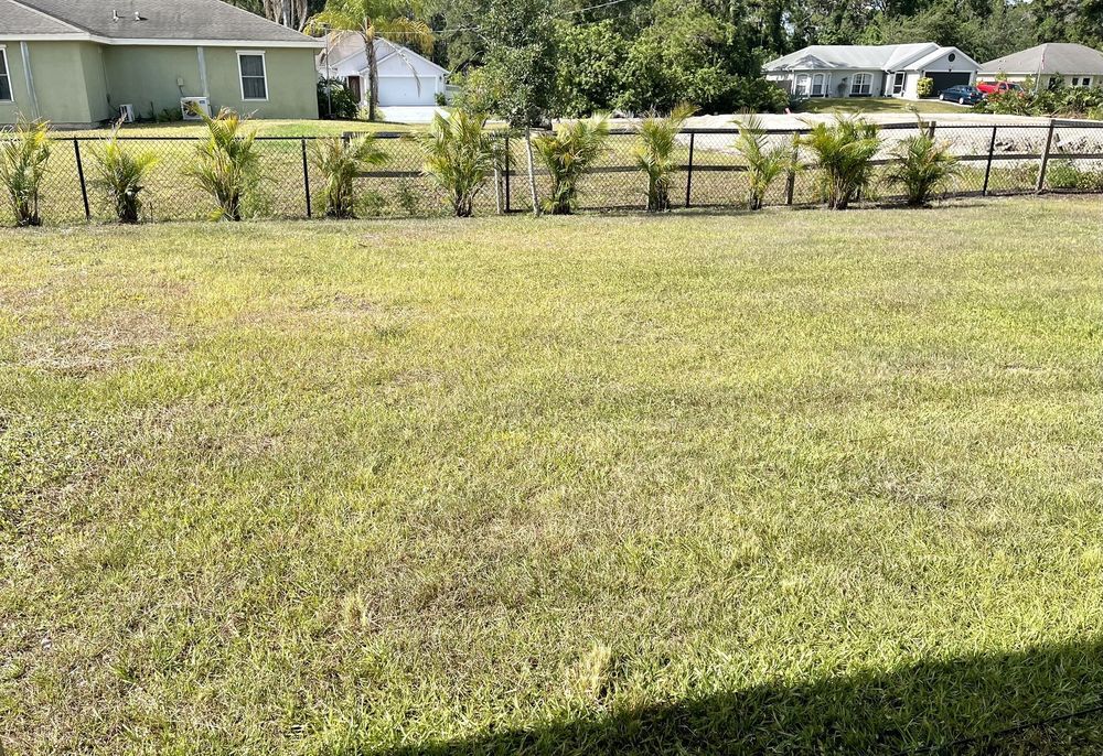 A large lawn with a fence and a house in the background.