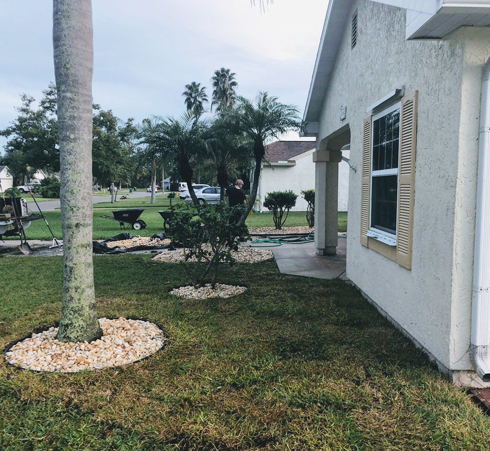 A white house with a palm tree in front of it