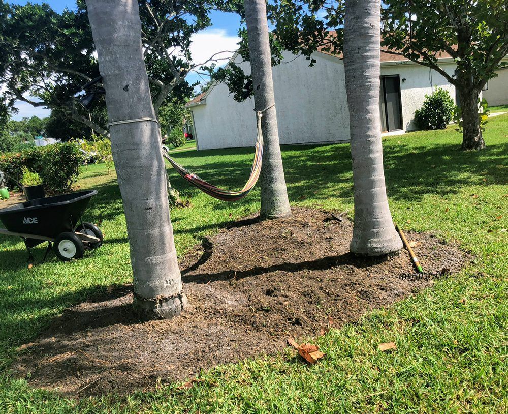 A hammock is hanging between two palm trees in a yard.