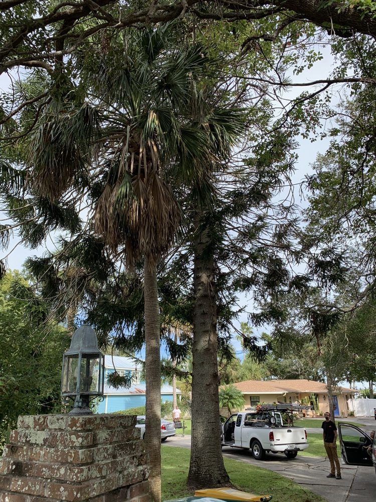 A white truck is parked under a tree in front of a house.