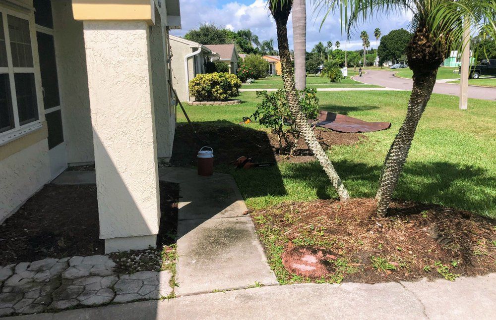 A house with a cooler on the sidewalk in front of it