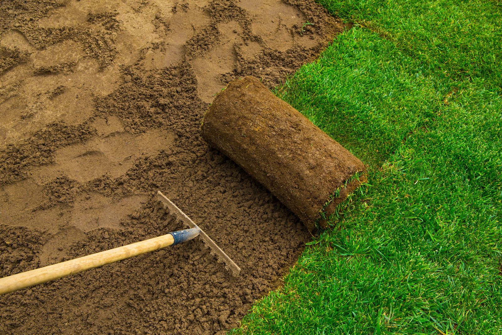 A rake is laying on top of a roll of turf.