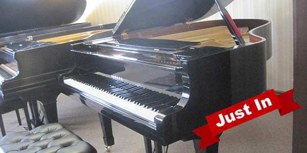 Grand Pianos — Yamaha C3 in Eau Claire, WI