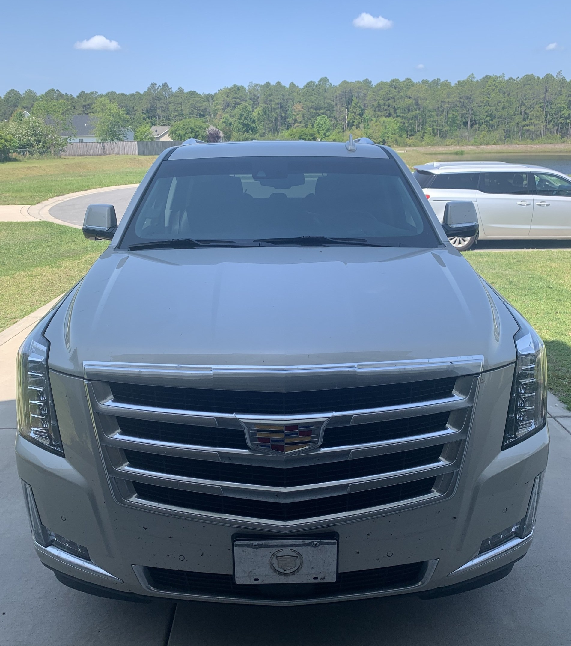 Full service exterior cleaning, wilmington nc