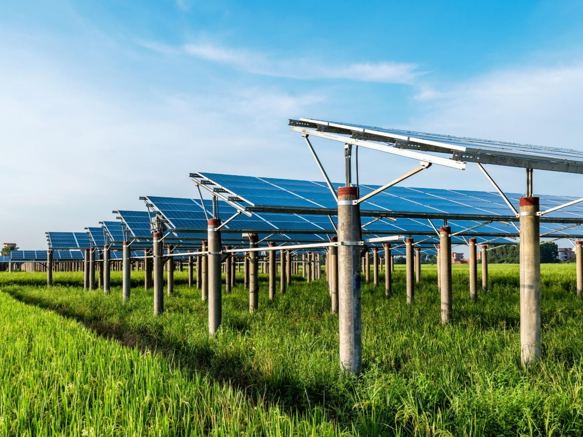 Solar panels on a green field, under a blue sky.