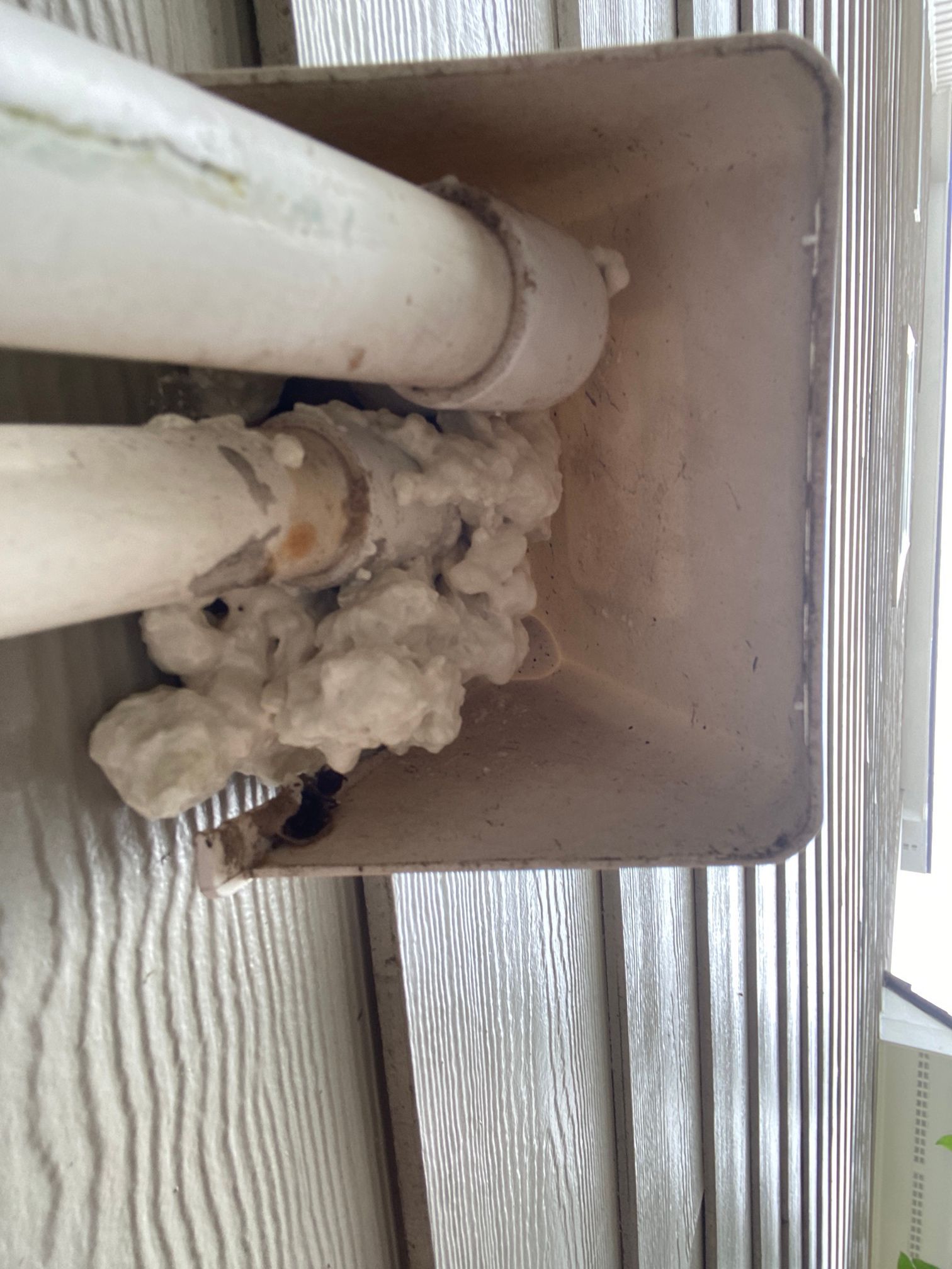 Two PVC pipes pass through tan siding into a plastic wall vent, sealed with yellowed, hardened expanding foam.