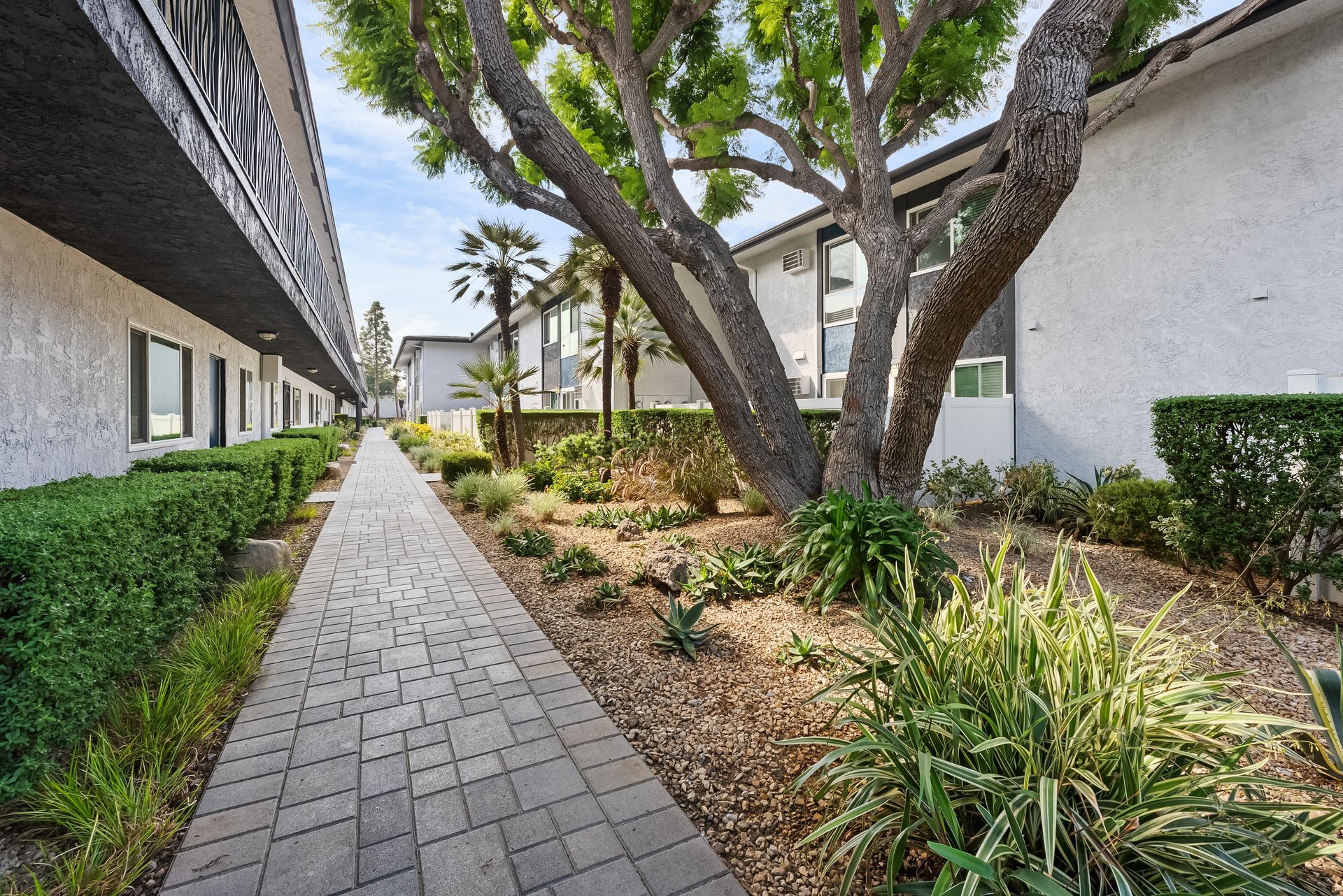 building exterior and plants