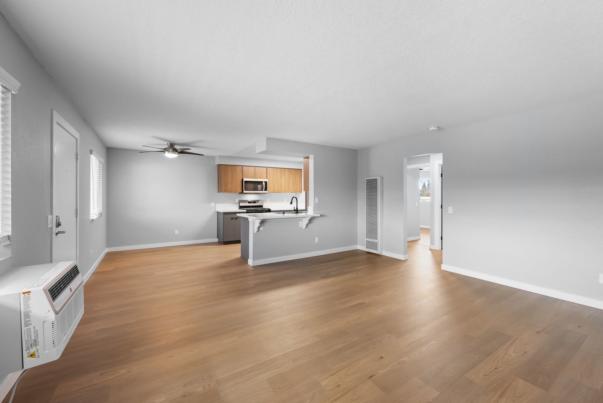 Living room and kitchen