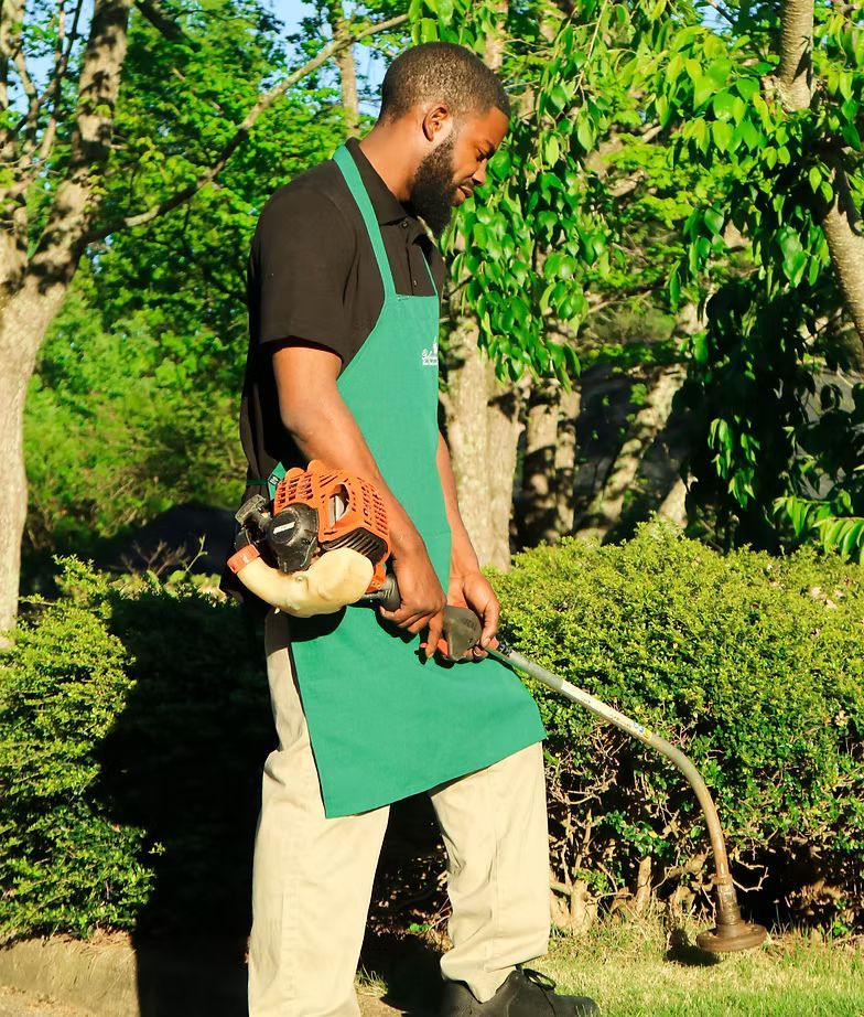 Man in green apron using a string trimmer in a sunny garden
