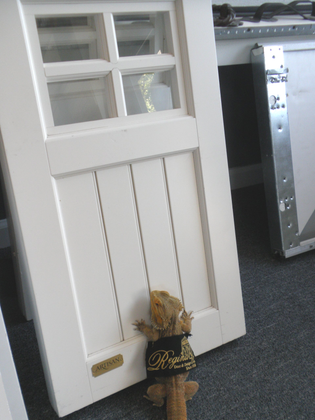 lizard pushing open door