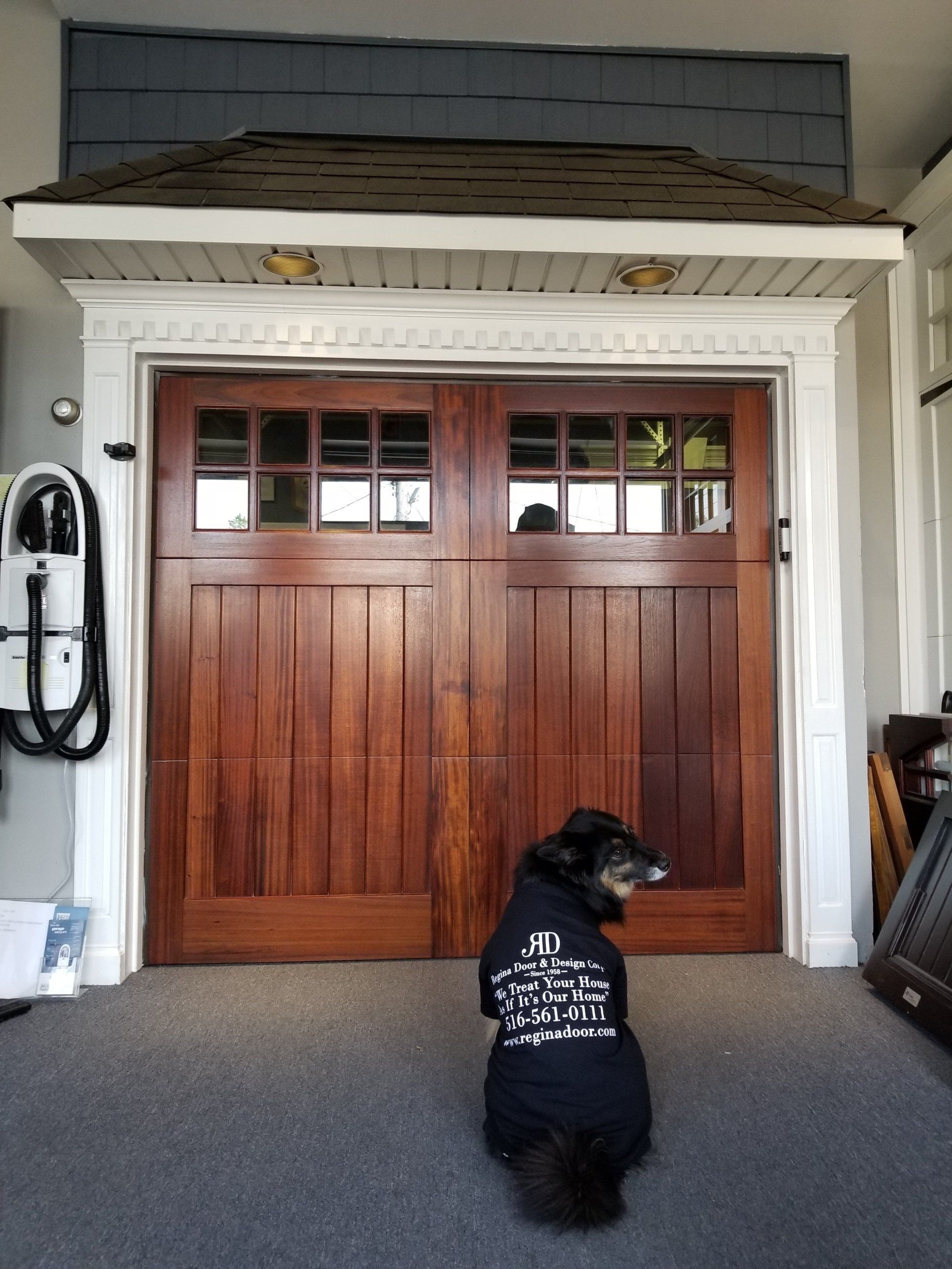 dog sitting in front of door