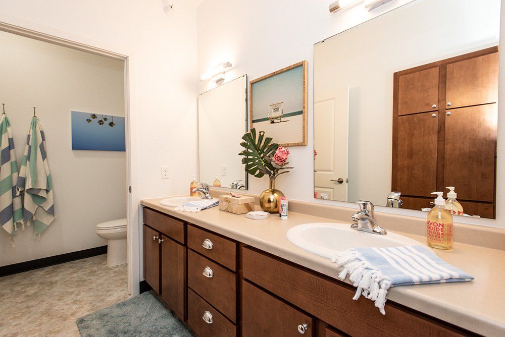 bathroom with double sinks