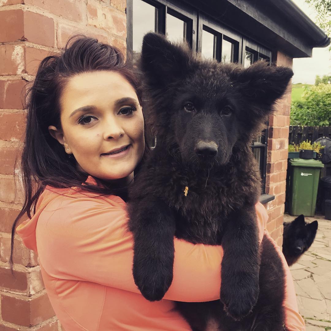 Basil black GSD