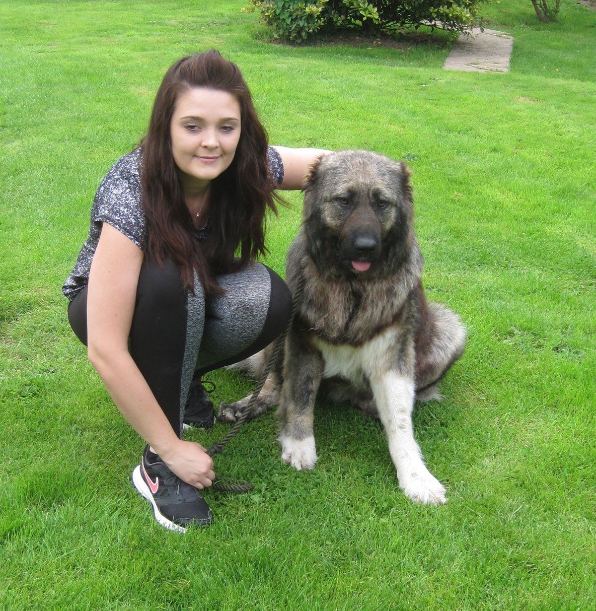 Sox Caucasian Shepherd Having A Hug