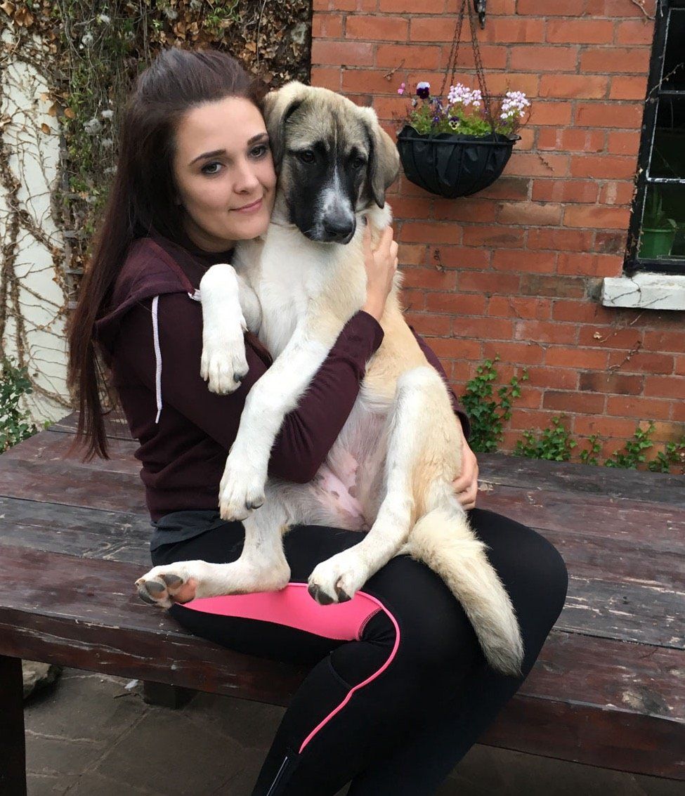 Handy Nanny With Romanian Puppy