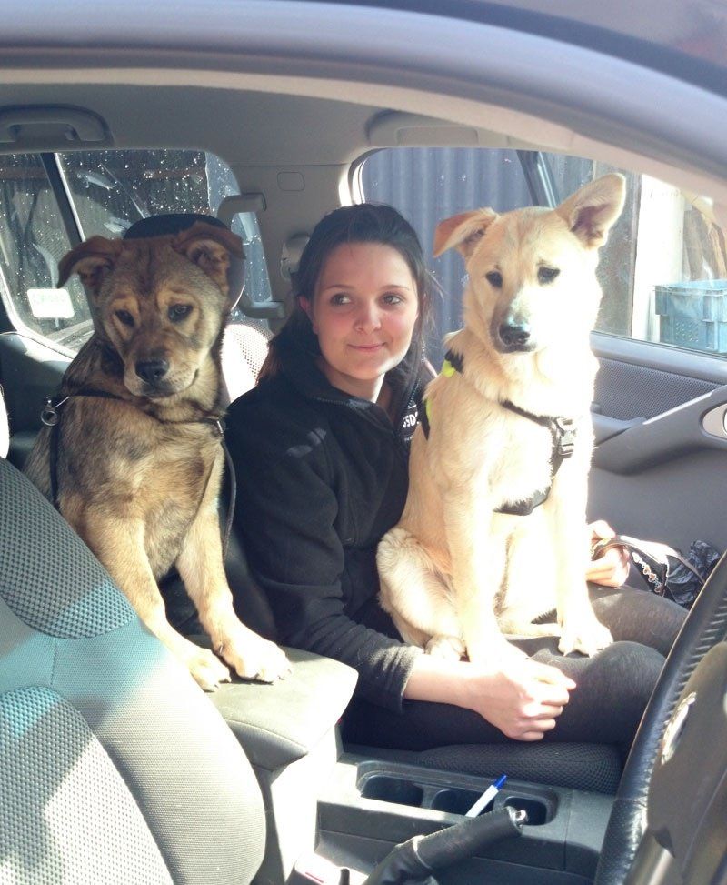 Handy Nanny With Puppies Elsa and Lottie