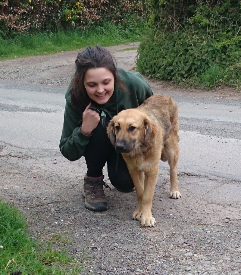 Walking Shy Puppy Rosie