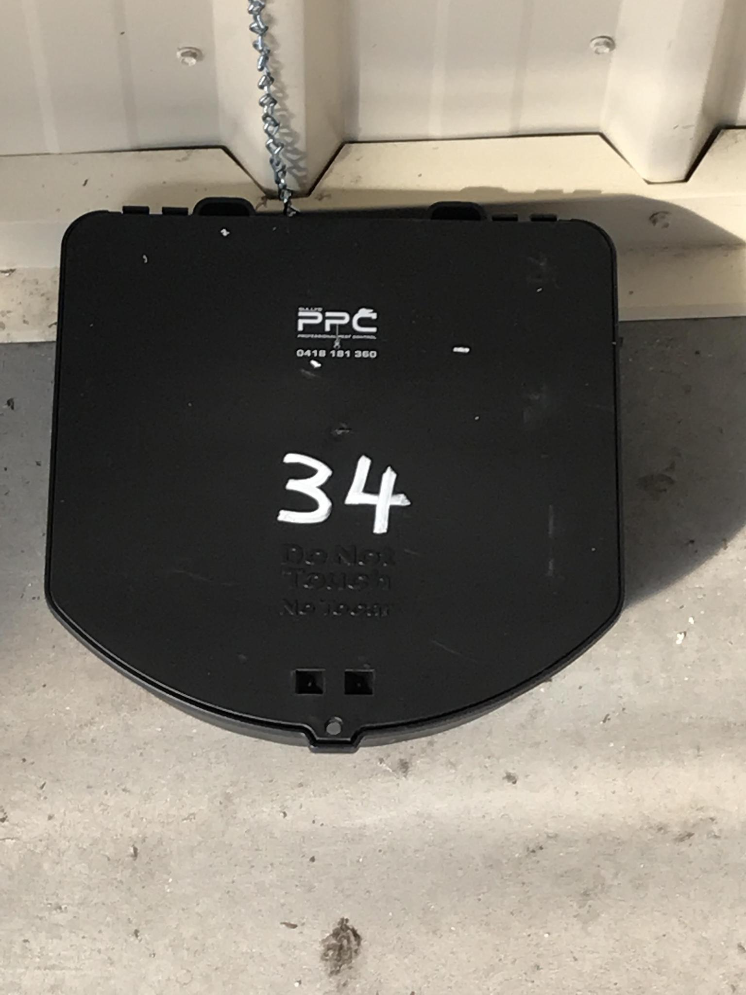 Rat Trap — Professional Pest Control In Thurgoona NSW