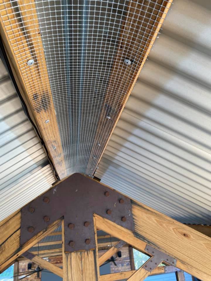 Bird proofing — Professional Pest Control In Thurgoona NSW