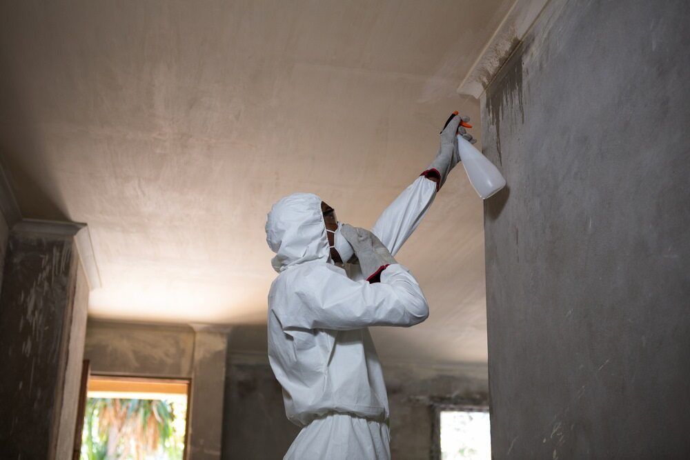 Pest control services during pre-construction