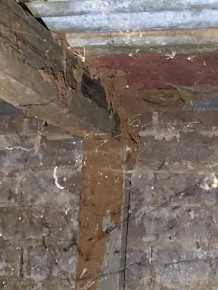 Close-up of a Termite Mud in Albury Wodonga