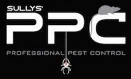 Professional Pest Control in Albury-Wodonga