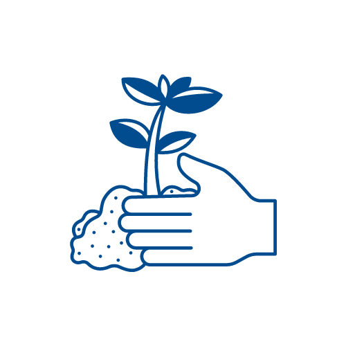 Sectores Intervenidos: Actividades agrícolas