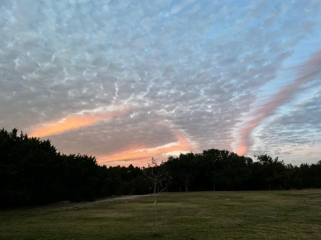 A sunset over a grassy field with trees in the background.