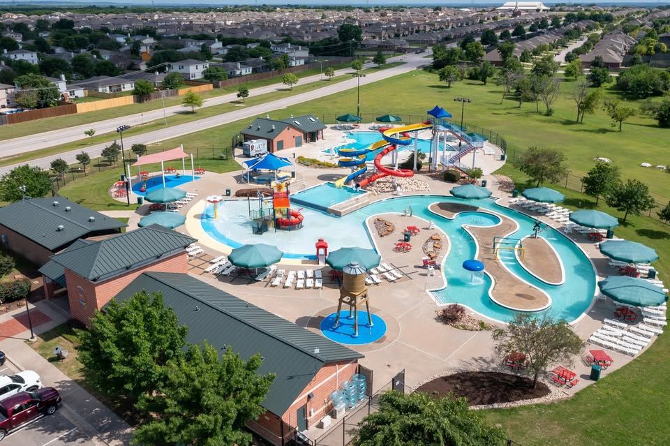 A water slide at a water park surrounded by palm trees on a sunny day.