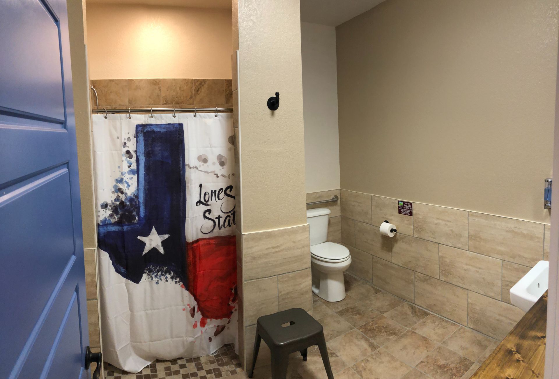 A bathroom with a texas flag shower curtain and a toilet.