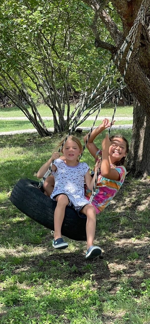 Two little girls are sitting on a tire swing in a park.