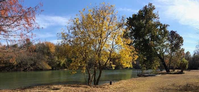 A lake surrounded by trees with yellow leaves on a sunny day.